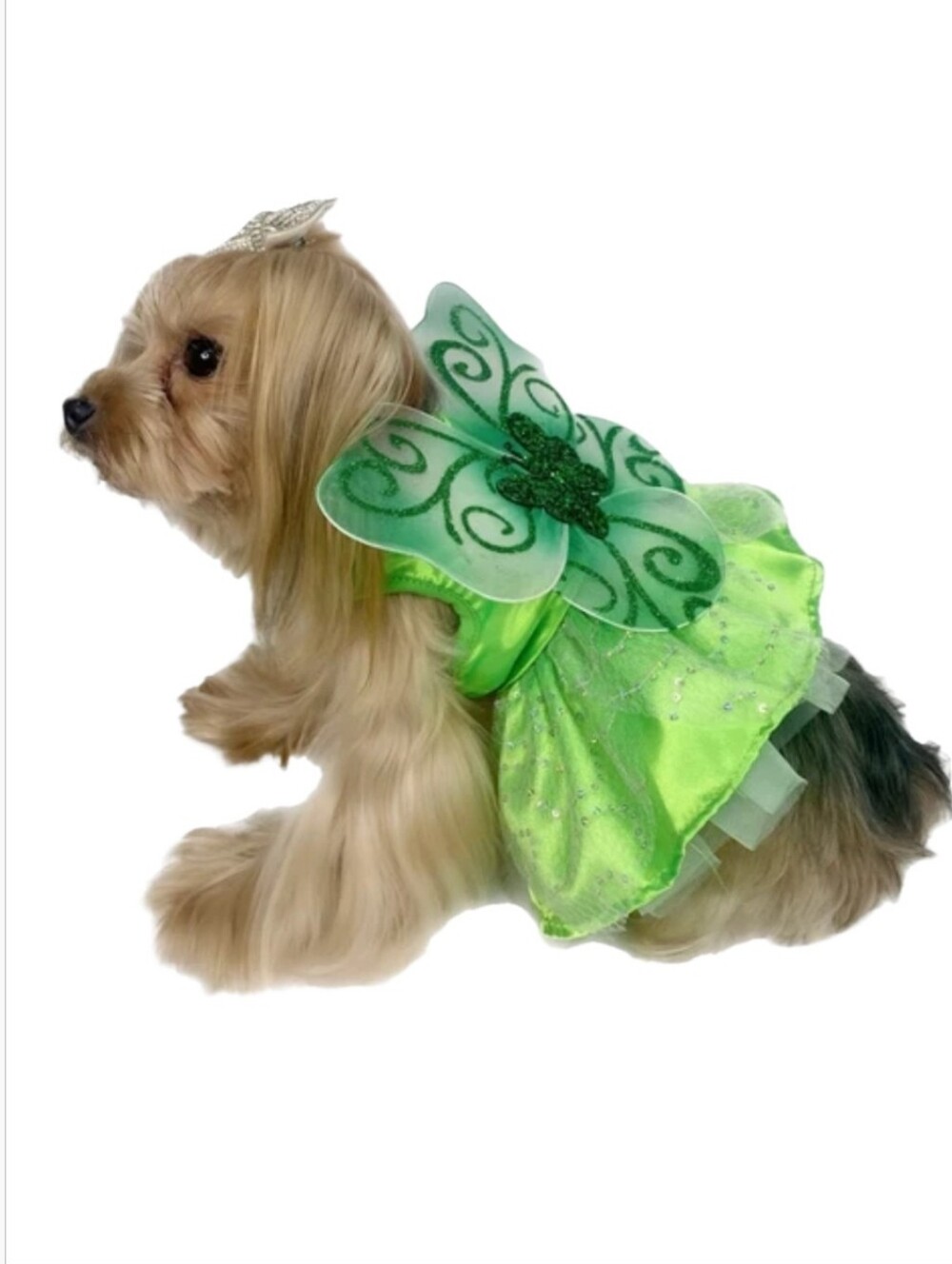 Dog Tinker Bell Green Fairy Dress-Up Costume with Butterfly Accent M